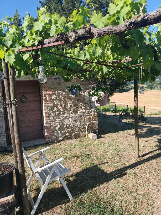 Agriturismo Podere La Selva Villa Serre Di Rapolano Exteriör bild