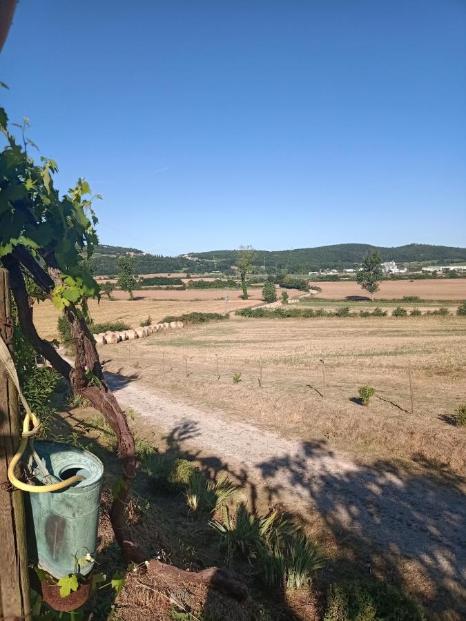 Agriturismo Podere La Selva Villa Serre Di Rapolano Exteriör bild