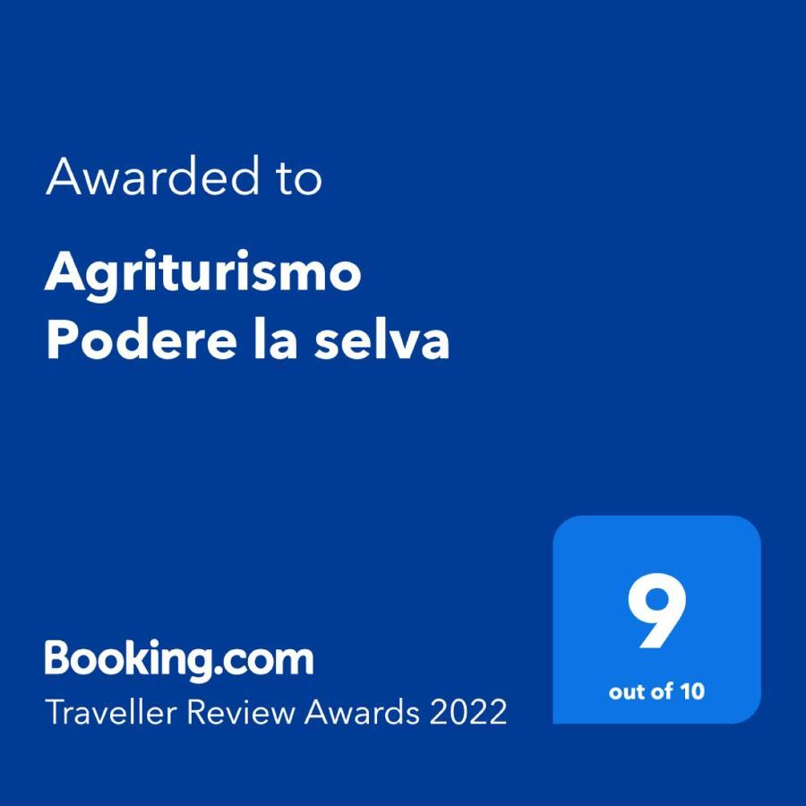 Agriturismo Podere La Selva Villa Serre Di Rapolano Exteriör bild