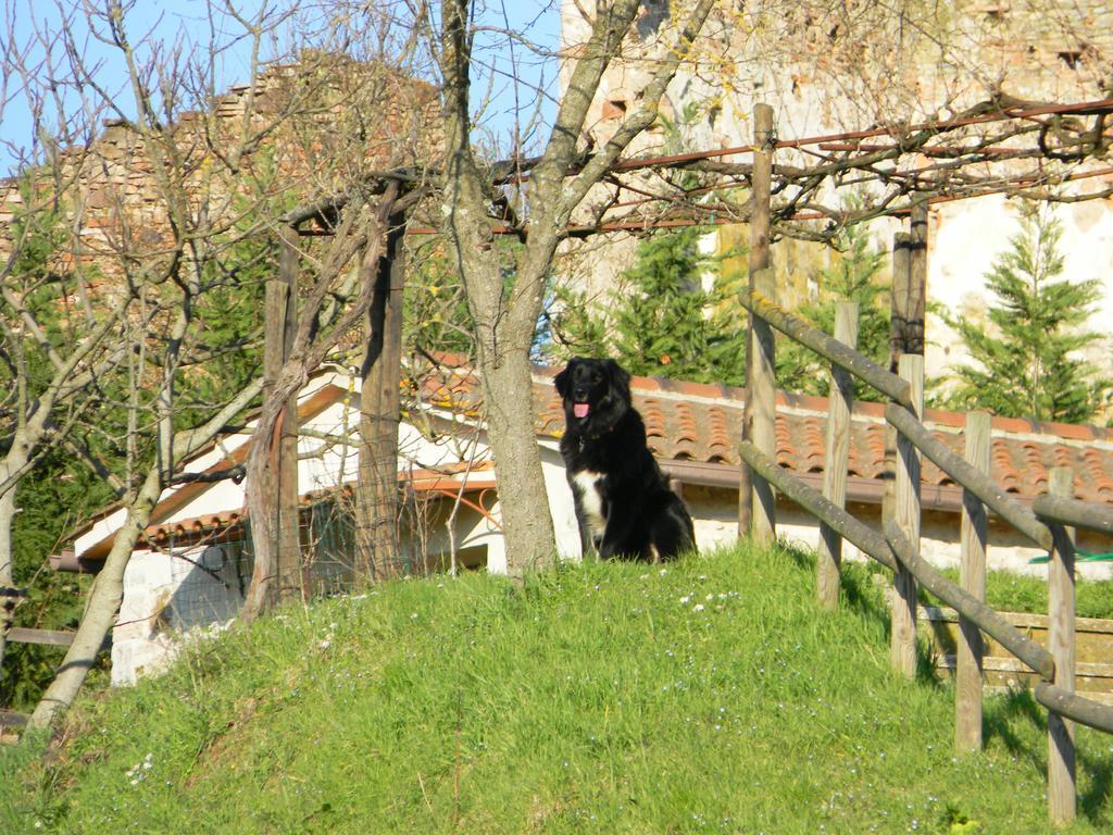 Agriturismo Podere La Selva Villa Serre Di Rapolano Exteriör bild