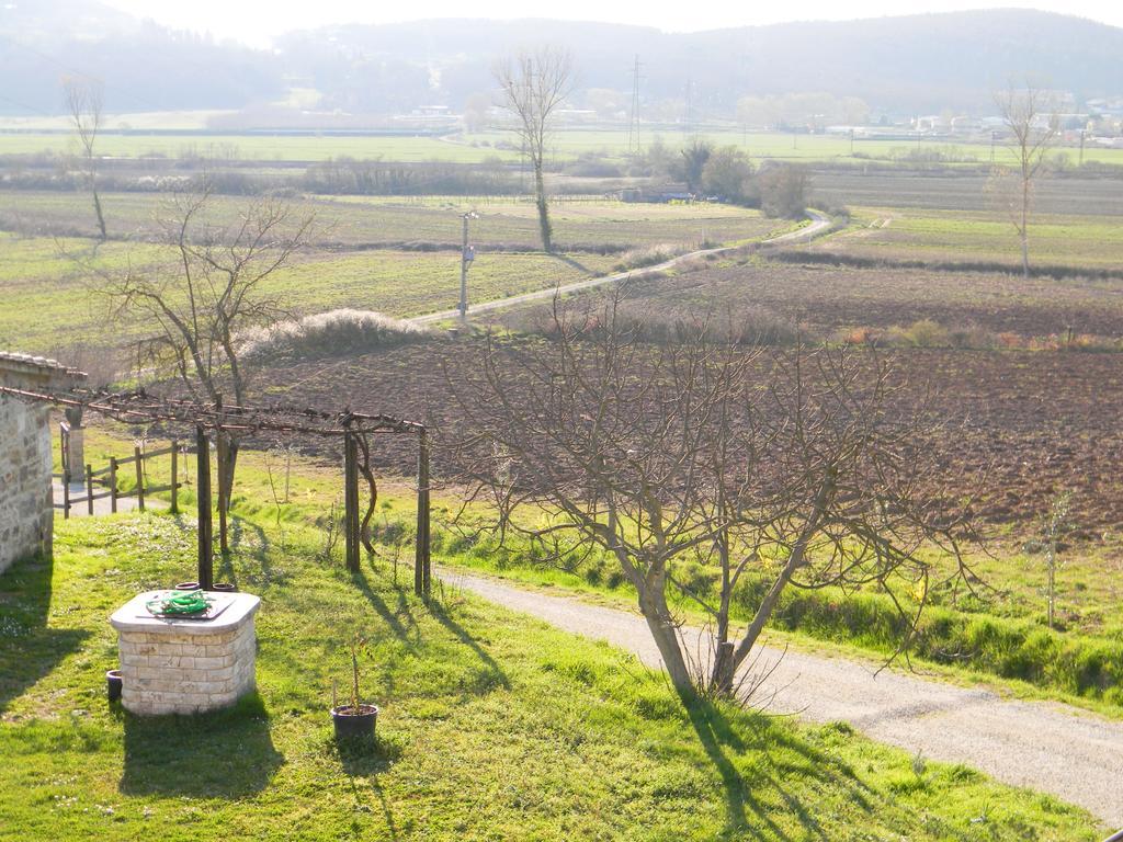 Agriturismo Podere La Selva Villa Serre Di Rapolano Exteriör bild