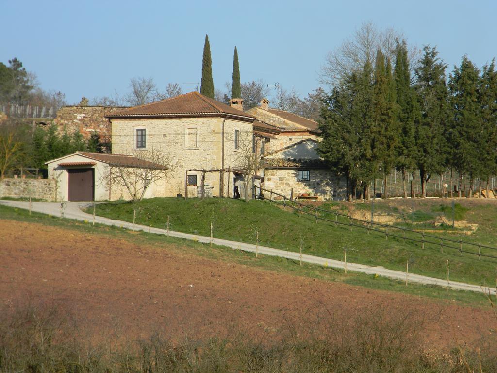 Agriturismo Podere La Selva Villa Serre Di Rapolano Exteriör bild