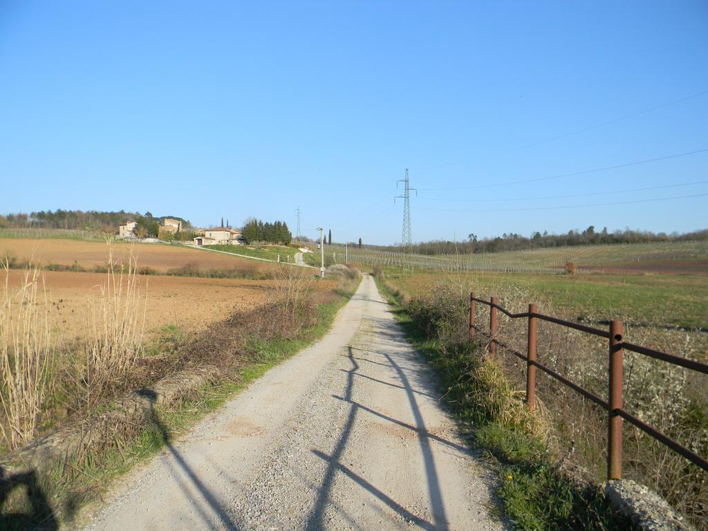 Agriturismo Podere La Selva Villa Serre Di Rapolano Exteriör bild